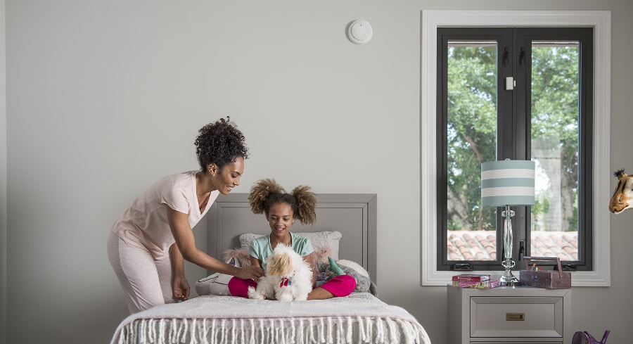 smoke & carbon detector Alpharetta